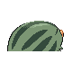 Marcacrin mle shiny dans Diamant et Perle