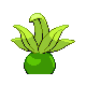 Mystherbe mle shiny dans Diamant et Perle
