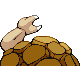 Grolem mle shiny dans Diamant et Perle
