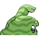 Grotadmorv mle shiny dans Diamant et Perle
