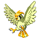 Roucoups mle shiny dans Diamant et Perle