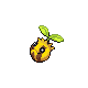 Tournegrin mle shiny dans Diamant et Perle