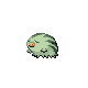 Marcacrin mle shiny dans Diamant et Perle