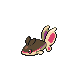 Ecayon mle shiny dans Diamant et Perle