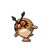 Hoothoot