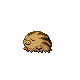Marcacrin