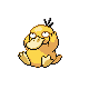 Psykokwak